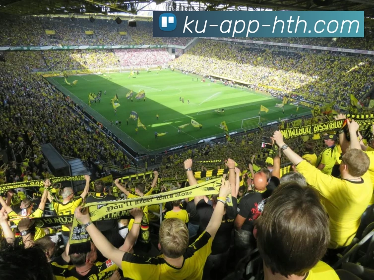 华体会APP 封面图